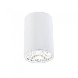 Изображение продукта Потолочный светодиодный светильник Citilux Стамп CL558100 