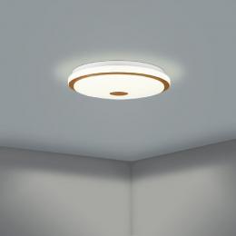Настенно-потолочный светодиодный светильник Eglo Lanciano 1 900598  - 2 купить