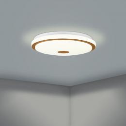 Настенно-потолочный светодиодный светильник Eglo Lanciano 1 900599  - 2 купить