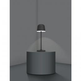 Настольная светодиодная лампа Eglo Mannera 900457 