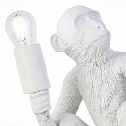 Настольная лампа Evoluce Tenato SLE115104-01  - 3 купить