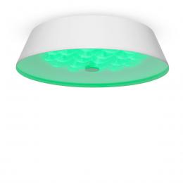 Потолочный светодиодный светильник Freya Cells FR10013CL-L24W  - 10 купить