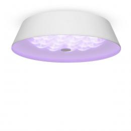 Потолочный светодиодный светильник Freya Cells FR10013CL-L24W  - 11 купить