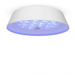Потолочный светодиодный светильник Freya Cells FR10013CL-L24W  - 9 купить