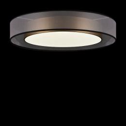 Потолочный светодиодный светильник Freya Zoticus FR6005CL-L48G  - 4 купить