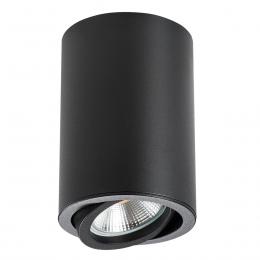Изображение продукта Потолочный светильник Lightstar Rullo 214407 