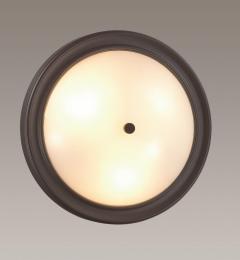 Настенно-потолочный светильник Lumion Nina 5260/3C  - 2 купить