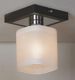 Потолочный светильник Lussole Costanzo GRLSL-9007-01  - 2 купить