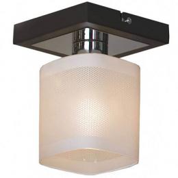 Изображение продукта Потолочный светильник Lussole Costanzo LSL-9007-01 