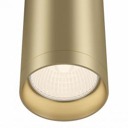 Потолочный светильник Maytoni Alfa C010CL-01MG  - 3 купить