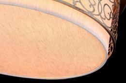 Потолочный светильник Maytoni Venera H260-05-N  - 3 купить