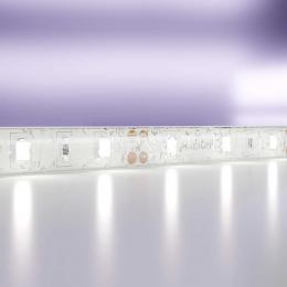 Светодиодная влагозащищенная лента Maytoni Technical 7,2W/m холодный белый 5M 20006  купить