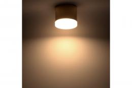 Накладной потолочный светильник Ritter Arton 59949 4  купить