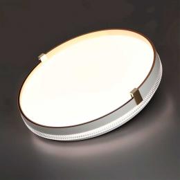 Настенно-потолочный светодиодный светильник Sonex Pale Olidi White 7646/CL  - 2 купить