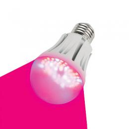 Изображение продукта Лампа светодиодная для растений (09645) Uniel E27 9W LED-A60-9W/SP/E27/CL 