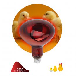 Лампа инфракрасная ЭРА E27 150 Вт для обогрева животных и освещения ИКЗК 230-150 R127 Б0055441  купить