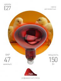 Лампа инфракрасная ЭРА E27 150 Вт для обогрева животных и освещения ИКЗК 230-150 R127 Б0055441  - 3 купить