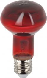 Лампа инфракрасная ЭРА E27 60 Вт для обогрева животных и освещения ИКЗК 230-60 Вт R63 Е27 Б0057281  - 2 купить