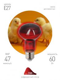 Лампа инфракрасная ЭРА E27 60 Вт для обогрева животных и освещения ИКЗК 230-60 Вт R63 Е27 Б0057281  - 3 купить