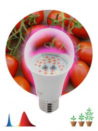 Лампа светодиодная для растений ЭРА E27 10W 1310K прозрачная Fito-10W-RB-E27 Б0050600  - 2 купить