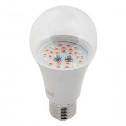 Лампа светодиодная для растений ЭРА E27 10W 1310K прозрачная Fito-10W-RB-E27 Б0050600  - 5 купить