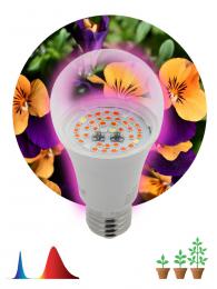 Лампа светодиодная для растений ЭРА E27 12W 1310K прозрачная Fito-12W-RB-E27 Б0050601  - 2 купить
