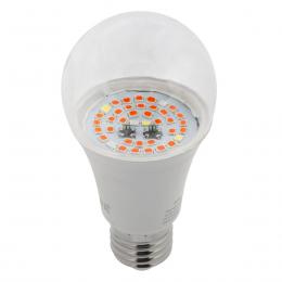 Лампа светодиодная для растений ЭРА E27 12W 1310K прозрачная Fito-12W-RB-E27 Б0050601  - 5 купить