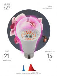 Лампа светодиодная для растений ЭРА E27 14W 1310K прозрачная Fito-14W-RB-E27 Б0050602  - 3 купить