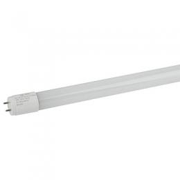 Лампа светодиодная ЭРА G13 10W 6500K матовая ECO LED T8-10W-865-G13-600mm Б0032975  - 1 купить