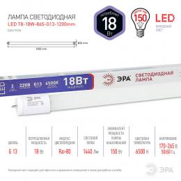 Лампа светодиодная ЭРА G13 18W 6500K матовая LED T8-18W-865-G13-1200mm Б0019928  - 3 купить