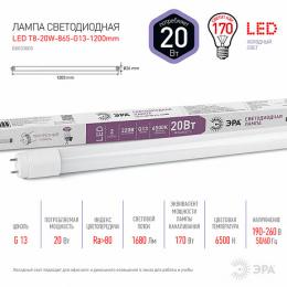Лампа светодиодная ЭРА G13 20W 6500K матовая LED T8-20W-865-G13-1200mm Б0033005  - 2 купить