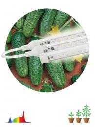 Модульный светодиодный светильник для растений ЭРА Fito-3х10W-Line-Ra90 Б0049315  - 2 купить
