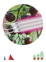 Модульный светодиодный светильник для растений ЭРА Fito-3х10W-Line-RB90 Б0050924  - 2 купить