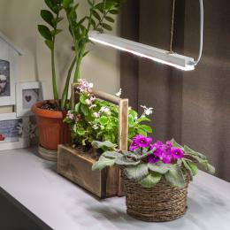 Подвесной светодиодный светильник для растений ЭРА Fito-9W-T5-Ra90 Б0049311  - 10 купить