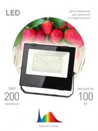 Прожектор светодиодный для растений ЭРА 100W 4000K Fito-100W-Ra90-Led Б0047876  - 4 купить
