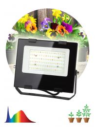 Прожектор светодиодный для растений ЭРА Fito-50W-Ra90-Led Б0047875  - 3 купить