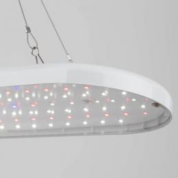 Светодиодный подвесной светильник для растений ЭРА Fito-25W-Qled-Fly Б0053062  - 5 купить