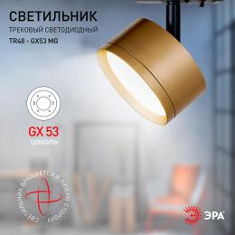Трековый однофазный светильник ЭРА TR48 - GX53 MG Б0054160  - 5 купить