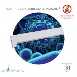 Ультрафиолетовый бактерицидный светодиодный светильник ЭРА ОБН01-30-011 Фотон Б0048260  - 3 купить