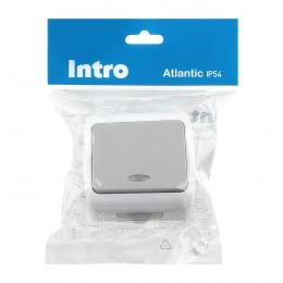 Выключатель одноклавишный ЭРА Intro Atlantic 10AX 250V с подсветкой 5-102-03 Б0050941  - 2 купить